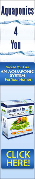 Aquaponics 4 You